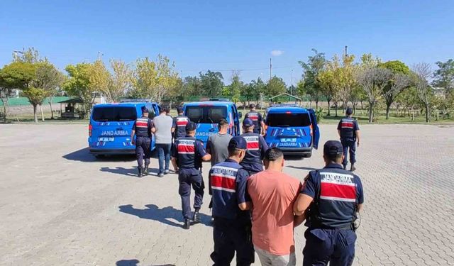 Köpekleri dövüştürüp sosyal medyada paylaştılar, jandarma ekiplerince operasyonla yakalandılar