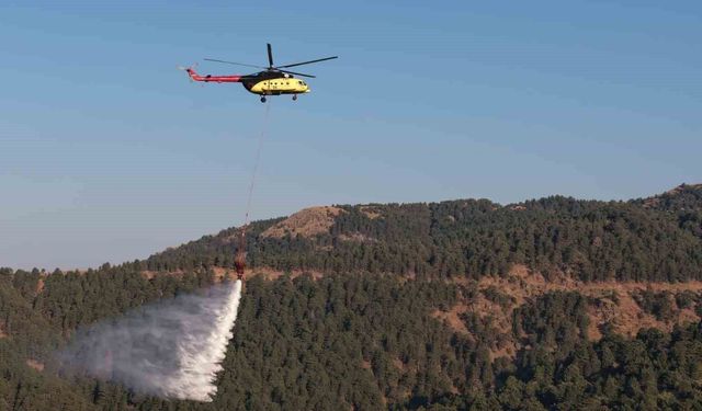 Kuyucak'taki orman yangını kontrol altına alındı