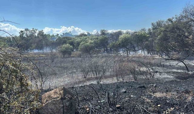 Manavgat'ta boğaz mendirek yolunda korkutan yangın