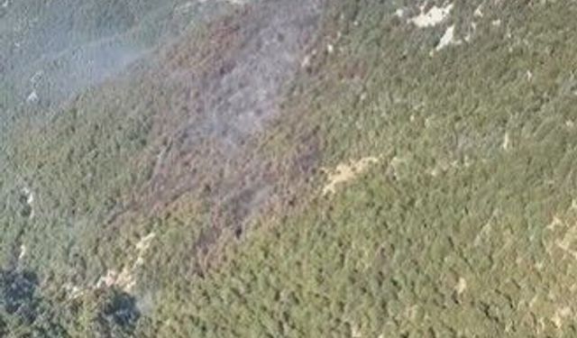 Manavgat'taki orman yangını kontrol altına alındı