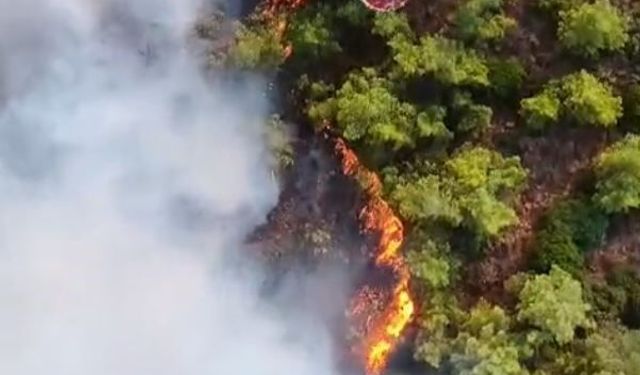 Marmaris'teki yangında hava müdahalesi başladı