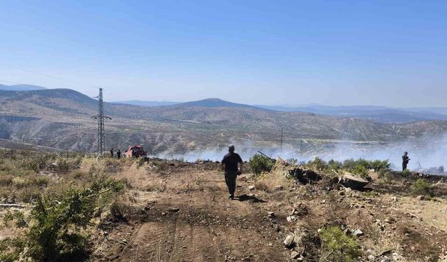 Menteşe'de makilik yangını