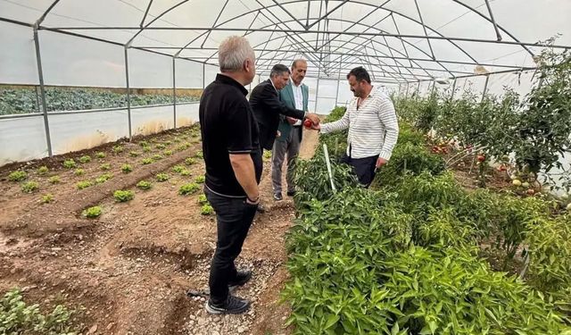Milletvekili Ateş, doludan zarar gören Eko-Köy'de çiftçileri ziyaret etti