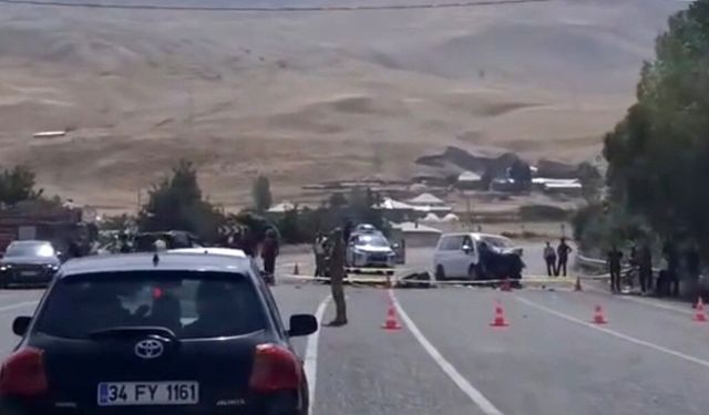 Muradiye'de araçlar kafa kafaya çarpıştı: 2 ölü, 9 yaralı