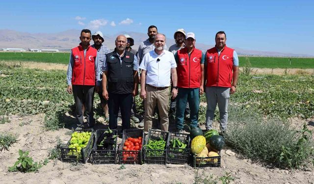 NÖHÜ'de 51 bin fideyle üretilen ürünlerin hasadı yapıldı