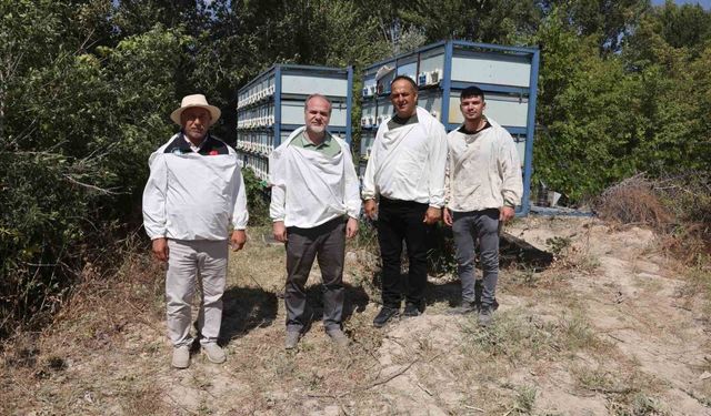 NÖHÜ'de arıcılıkta rekor: 3 tona yakın bal hasadı gerçekleştirildi