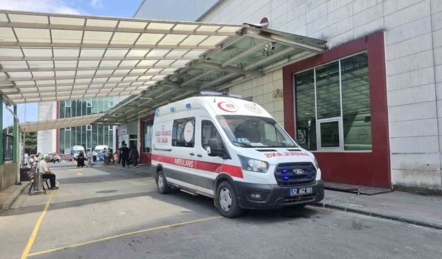 Ordu'da mantardan zehirlenen yaşlı çift hastaneye kaldırıldı