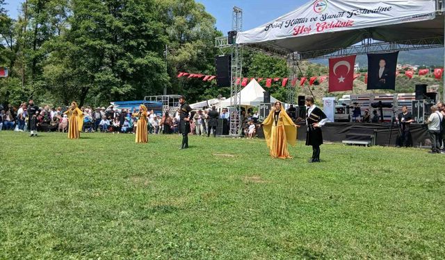 Posof Kültür ve Sanat Festivali coşkuyla gerçekleşti