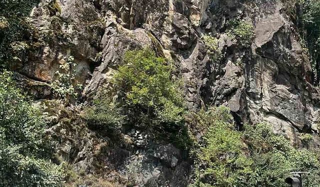 Rize'de otomobilin üzerine kaya düştü: 1 yaralı