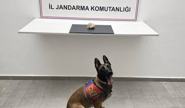 Şanlıurfa'da uyuşturucu operasyonu: 1 tutuklama