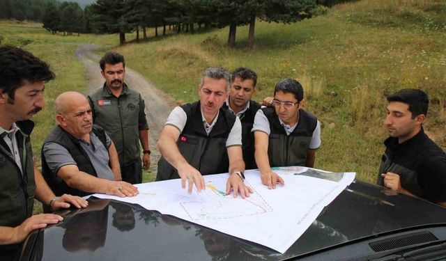 Sarıkamış'ta orman çalışmaları masaya yatırıldı: Bölge Müdürü Karakurt'tan sahalarda inceleme