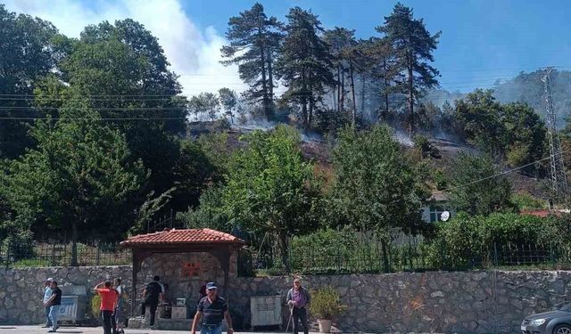 Sinop'taki orman yangınıyla ilgili 1 kişi gözaltında