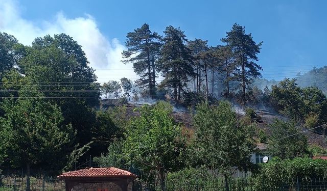 Sinop'taki orman yangınıyla ilgili 1 kişi tutuklandı
