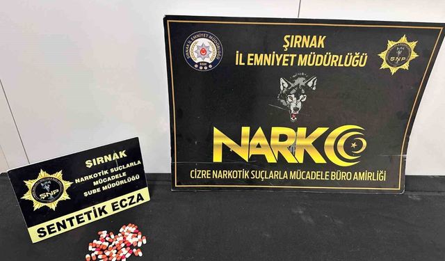 Şırnak'ta asayiş ve narkotik operasyonları düzenlendi
