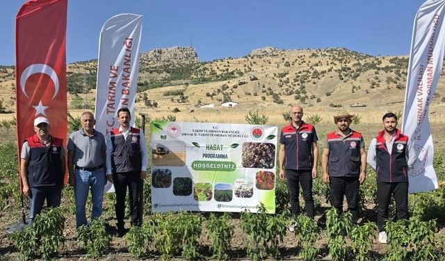 Şırnak'ta TAKE Projesi kapsamında sebze hasadı gerçekleştirildi
