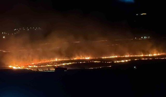 Tatvan'da makilik alanda yangını: Yaklaşık 300 dönüm alan kül oldu