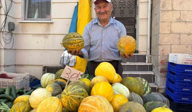 Tavşanlı'nın meşhur Kışlademirli kavunu pazara indi
