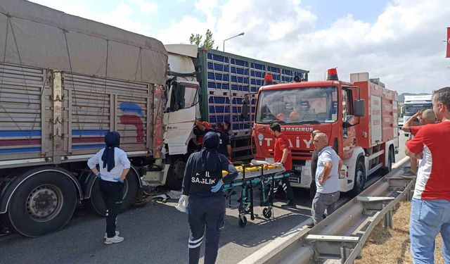 Tavuk yüklü tır, önündeki kamyona çarptı: 2 yaralı