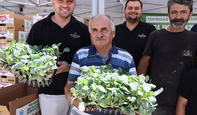 Tekirdağ'da üreticiye kışlık sebze desteği: 104 bin fide dağıtılıyor