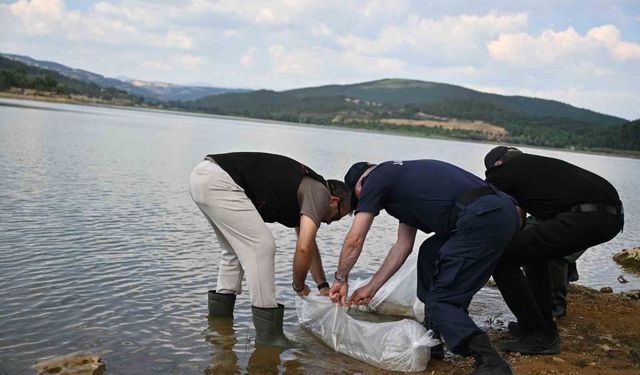 Uşak'ta Göğem Göleti'ne pullu sazan yavruları bırakıldı