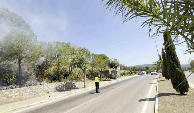 Yol kenarında başlayan yangın ormana sıçradı, ekiplerin müdahalesiyle söndürüldü