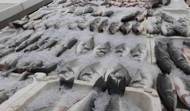 Adana'da sıcak havalar balık satışlarını düşürdü