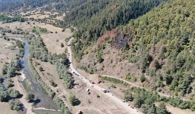 Ağaç çekerken elektrik akımına kapılan vatandaş öldü, ormanlık alanda yangın çıktı