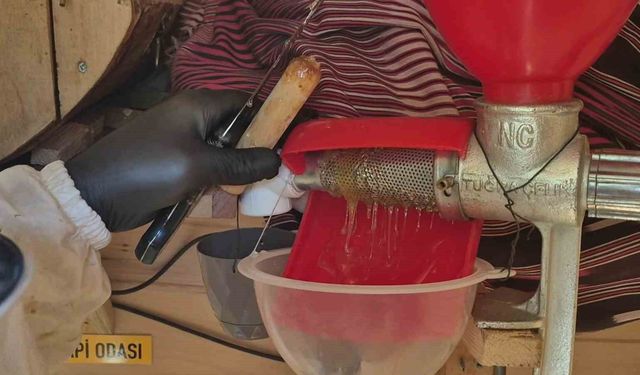 Arıları üşümesin diye elektirkli battaniyeye sararak baktı