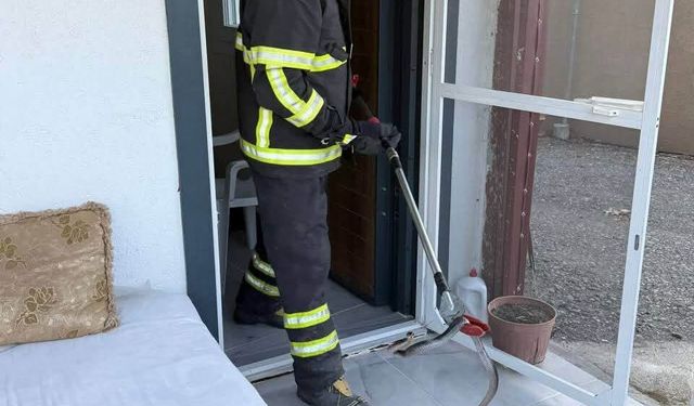 Arsuz'da eve giren yılanı itfaiye yakaladı