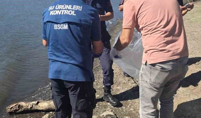 Atikhisar Barjı'ndaki balık ölümleri incelendi