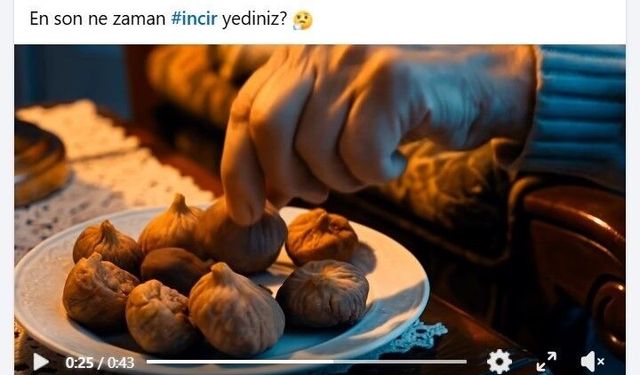 Başkan Çerçioğlu'ndan incir tanıtım filmi