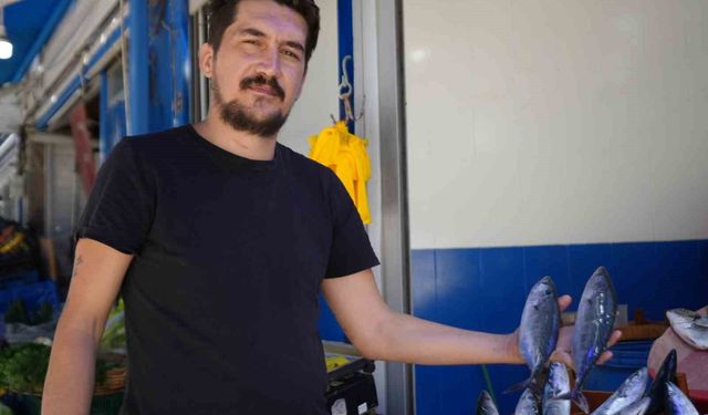 Bu sene vatandaşlar palamuda doyacak