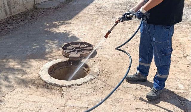 Didim Belediyesi vektörle mücadele çalışmalarını sürdürüyor