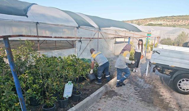 Didim Belediyesi'nden yeşil hamle