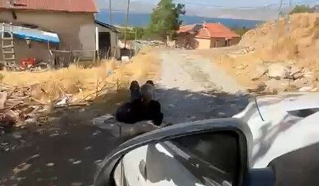 Elazığ'da yaşlı bir adam, zincirle ağaca bağlanmış şekilde görüntülendi
