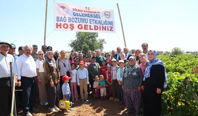 Gölbaşı'nda bağ bozumu heyecanı başladı