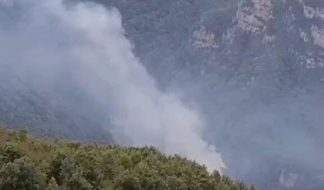 Hatay'da orman yangını: Ekiplerin müdahalesi başladı