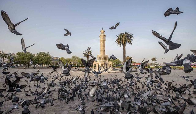 İzmir'in iklim deneyimi Avrupa'ya taşınacak