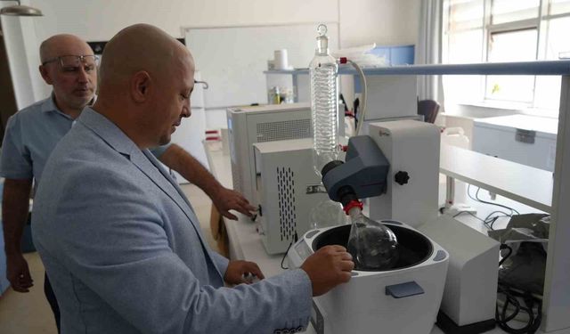 Kastamonu ormanlarında yetişen mantarlar ciltleri güneşten koruyacak