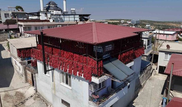 Kavurucu sıcakta tek tek ipe dizilen dolmalık acı biberler, mahalledeki balkonları kırmızıya bürüdü