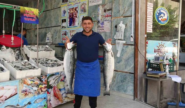 Kilis'te balık sezonu açıldı, tezgahlar çeşitlendi