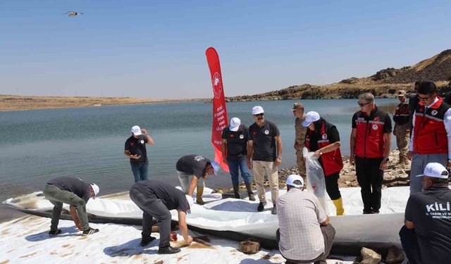 Kilis'teki göletlere 600 bin adet yavru balık bırakıldı