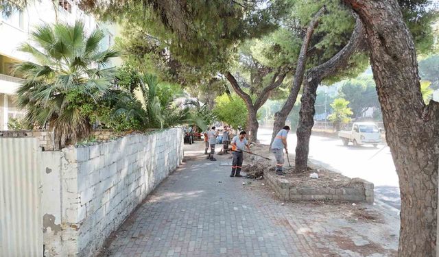 Nazilli Belediyesi'nden devlet karayolunda temizlik çalışması