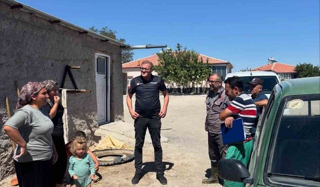 Niğde'de hayvanlara şap ve brusella aşısı yapıldı