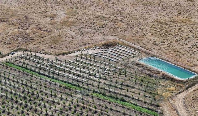 Niğde'nin bin 800 rakımlı Tumlu Yaylası'nda Geven Balı bereketi