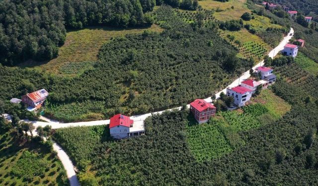 Ordu'da 35 yıllık yol sorunu çözüme kavuşturuldu