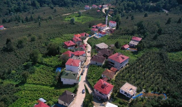 Ordu'da beton yol çalışmaları sürüyor
