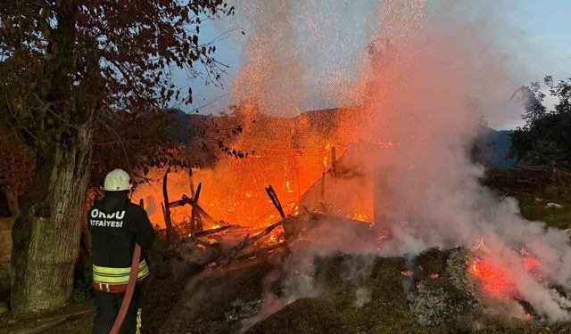 Ordu'da metruk evde yangın