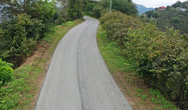 Ordu'da sıcak asfalt çalışmaları devam ediyor