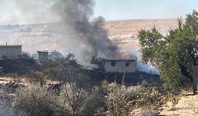 Otluk alanda başlayan yangın bağ evlerine sıçradı: 7 bağ evi kullanılamaz hale geldi